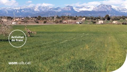 UOM a Mallorca 2025